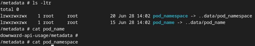 Kubernetes Downward API