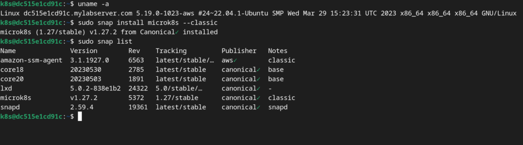 snap list command