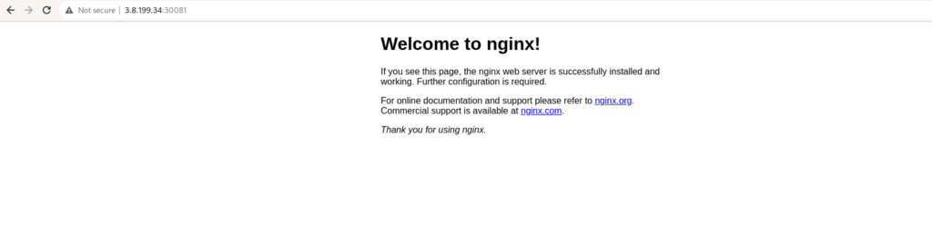 nginx application