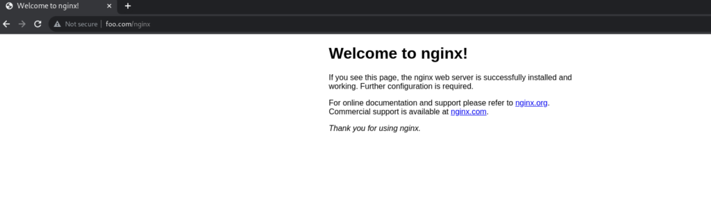 Nginx Web App